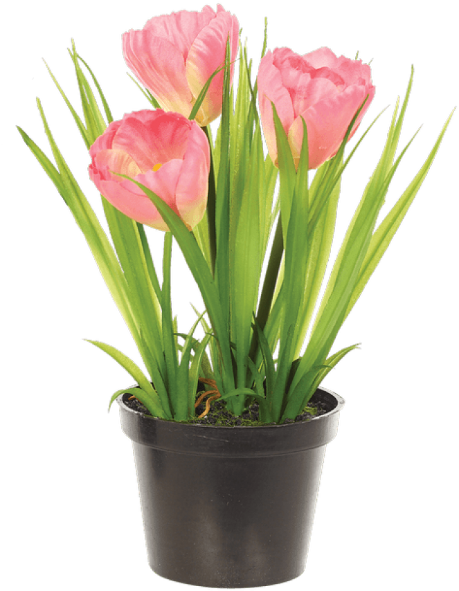 Flower 1